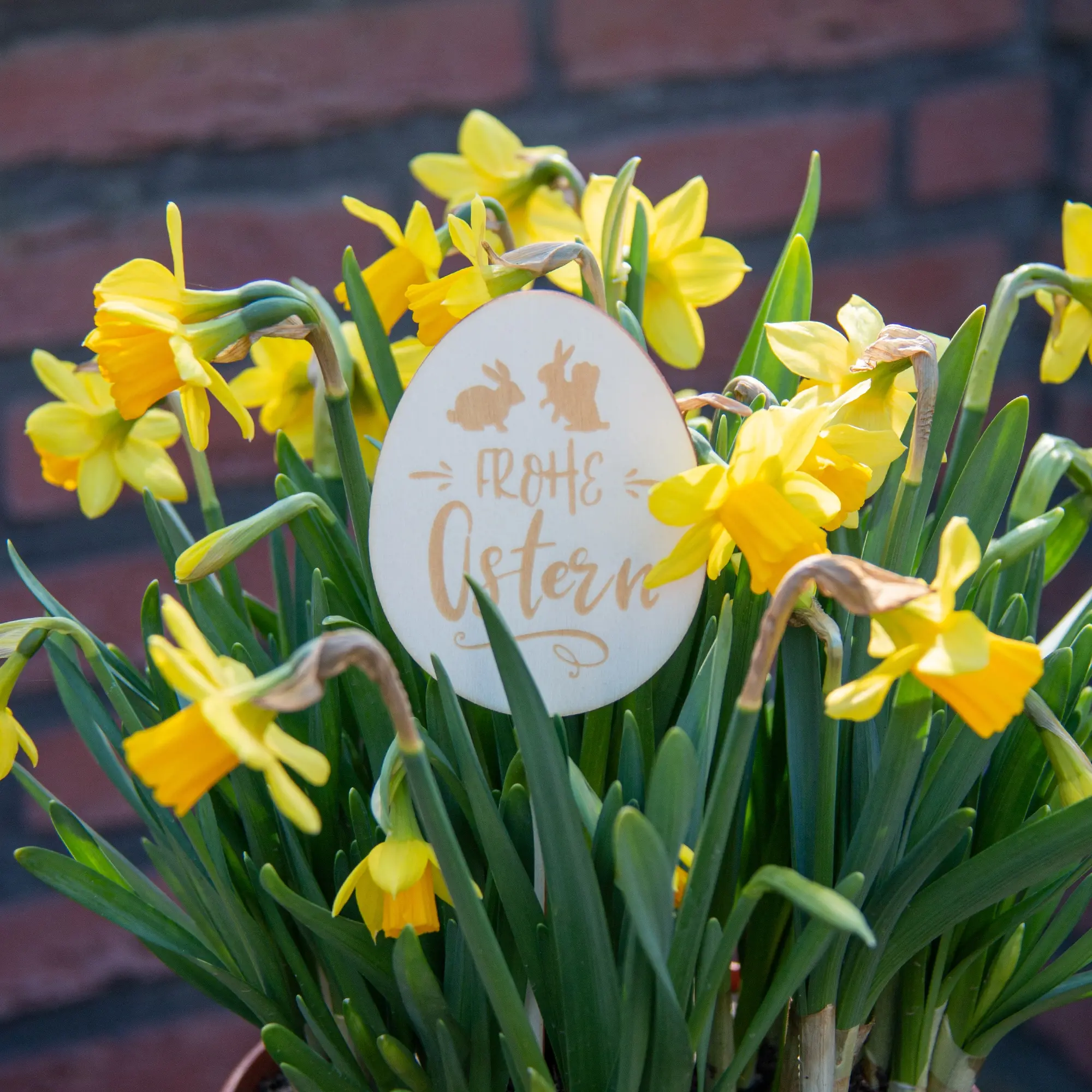 Blumenstecker "Frohe Ostern"