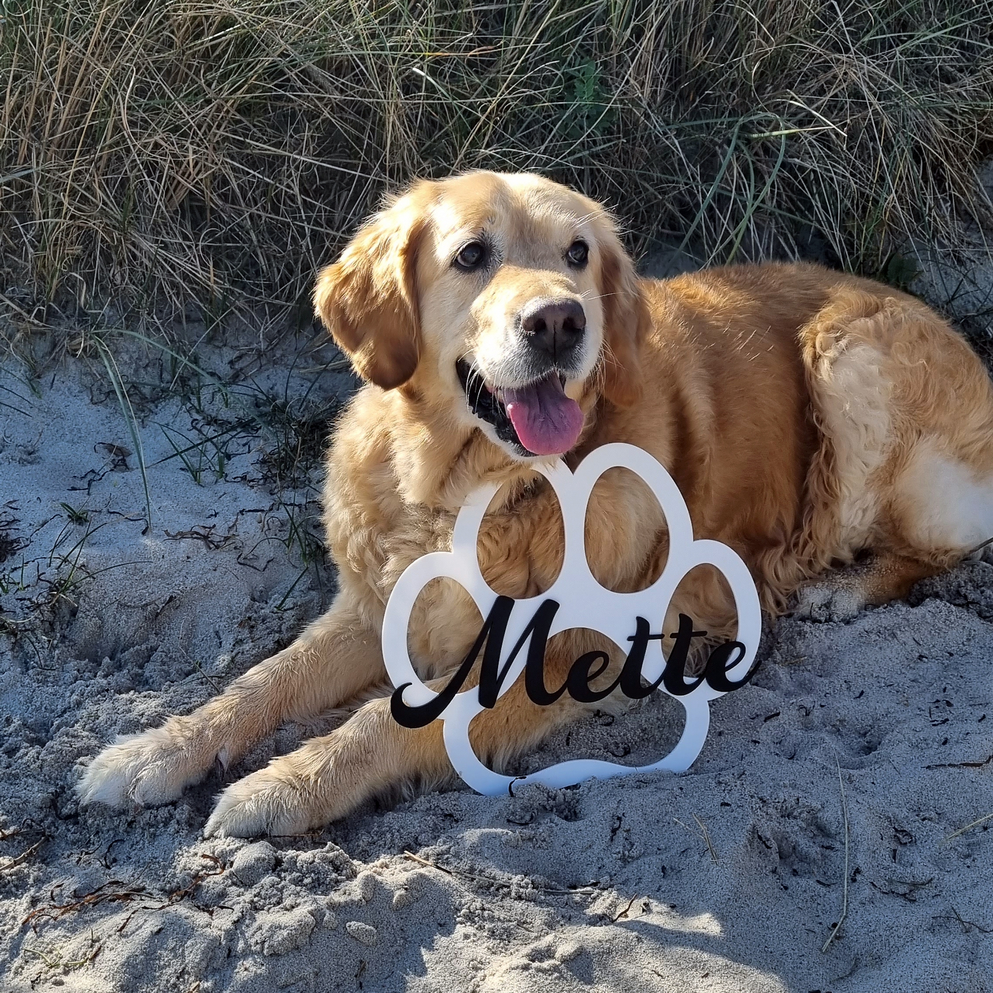 Schild Hundepfote "30 x 27 cm" Schild Hundepfote "30 x 27 cm"