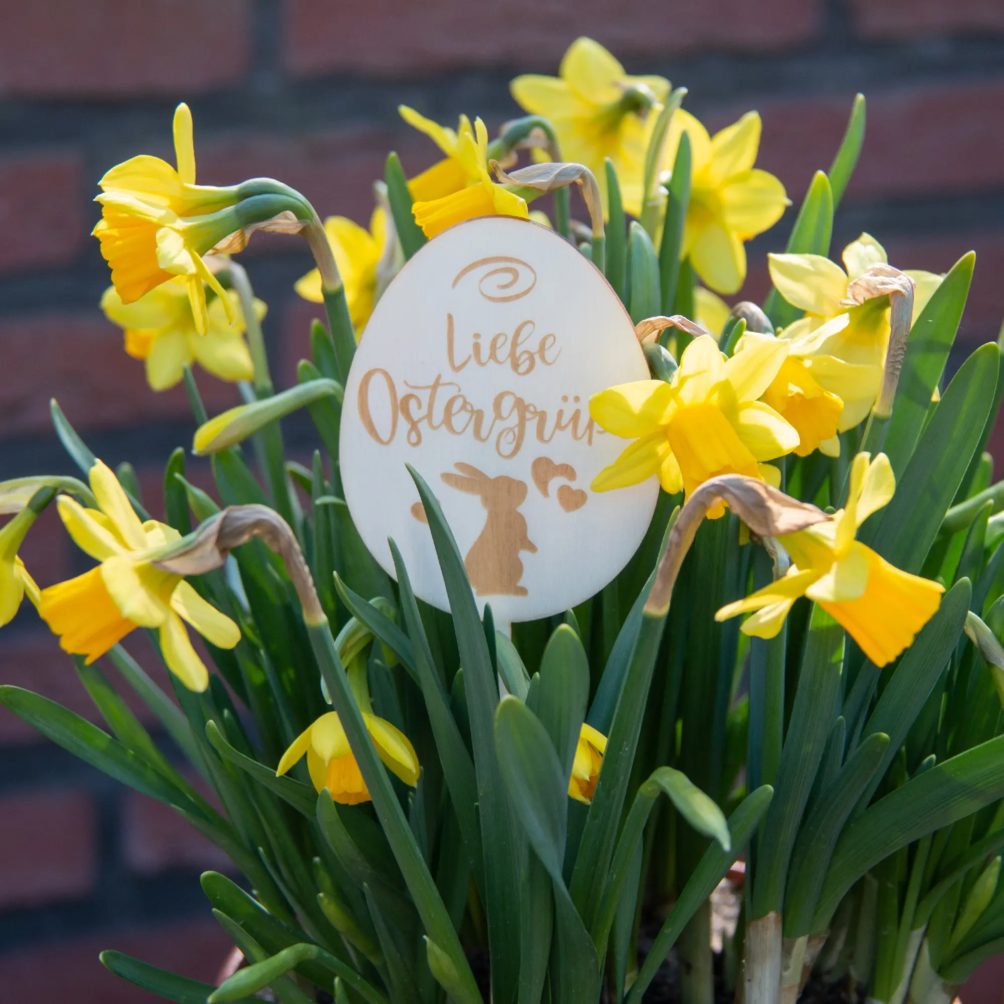 Blumenstecker "Liebe Ostergrüße"