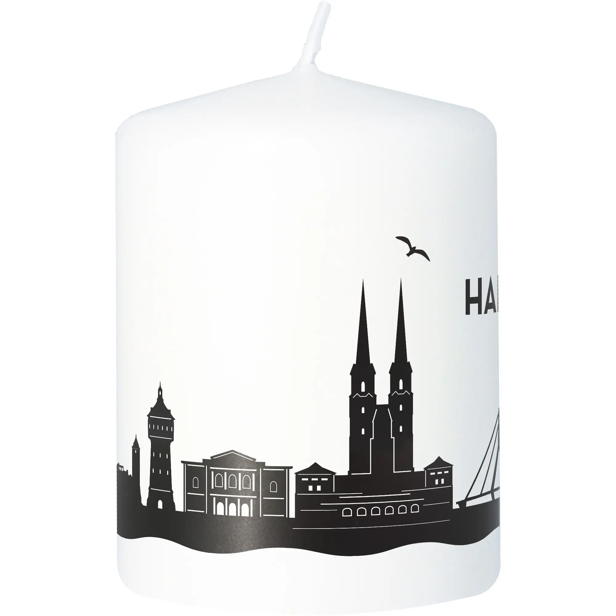 Gebäude, Turmspitze, Turm, Tier, Vogel
