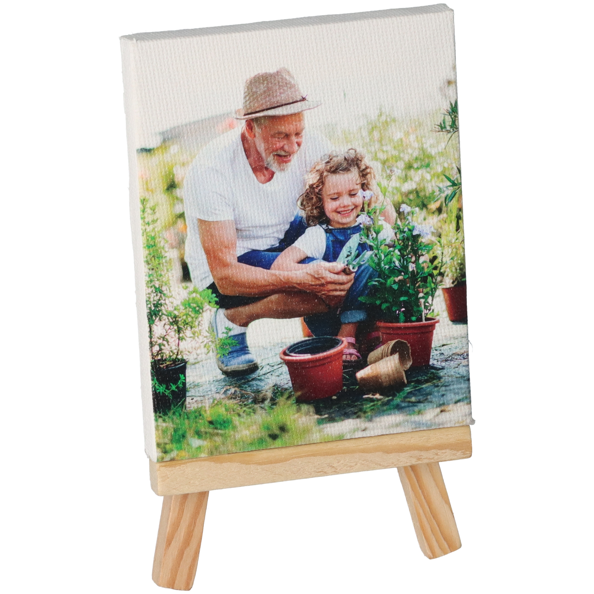 Mini Fotoleinwand mit Ministaffelei Topfpflanze, Leinwand, Garten, Kräuter, Fotografie