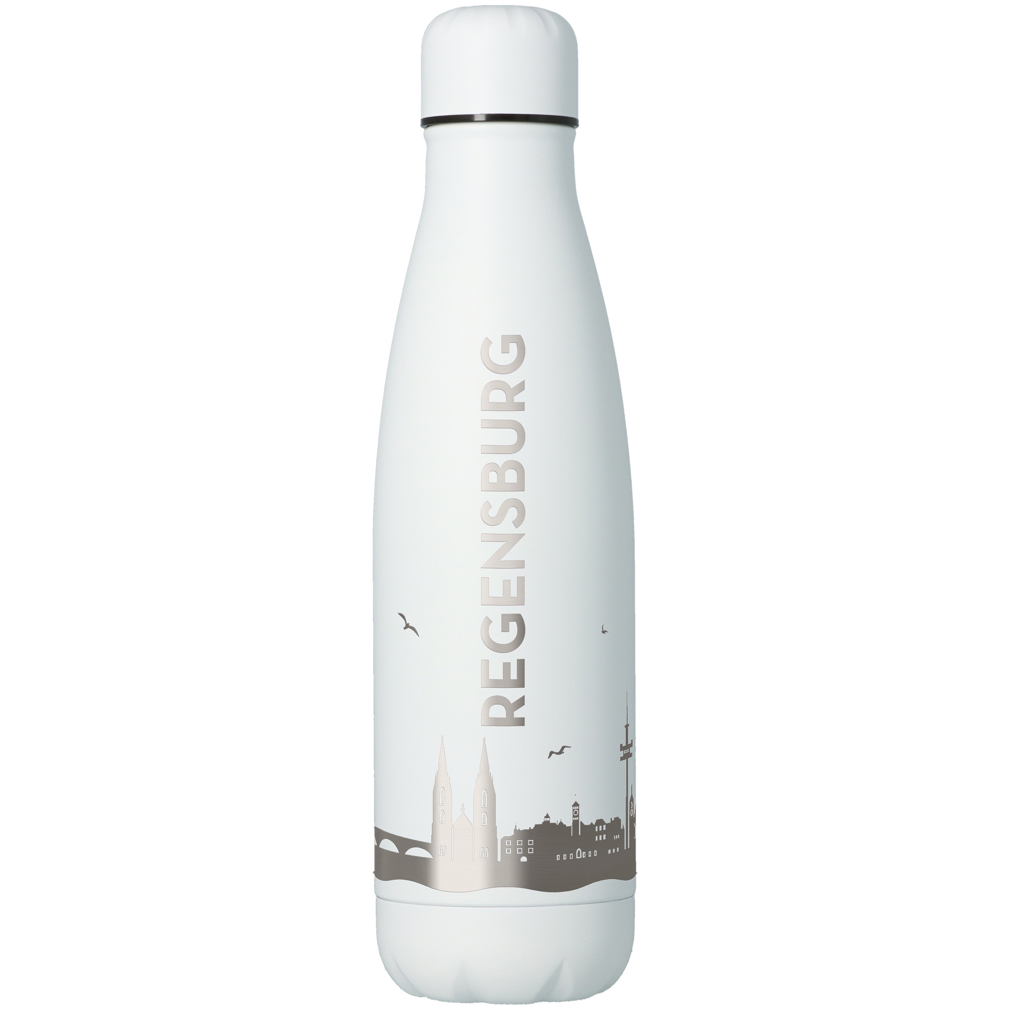 Trinkflasche Skyline Regensburg